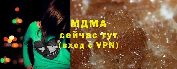 соль ск Ельня