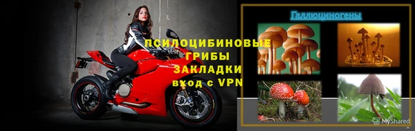 соль ск Ельня