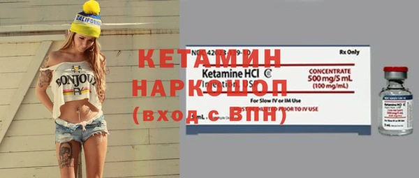 прущие грибы Елизово