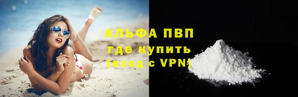 прущий лед Дмитриев