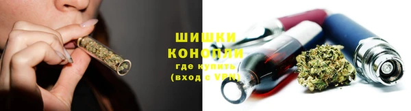 прущий лед Дмитриев