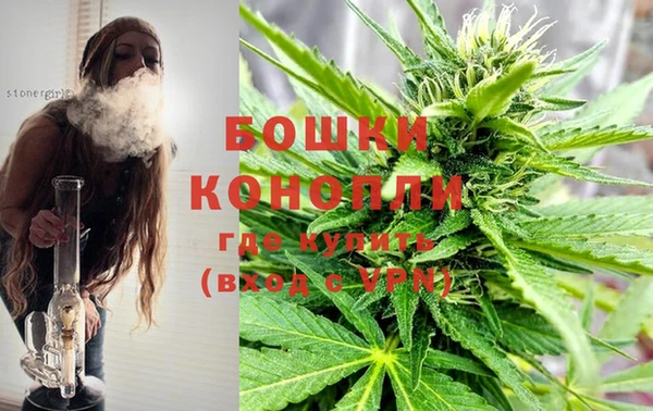 прущий лед Дмитриев