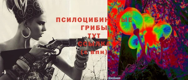 соль ск Ельня