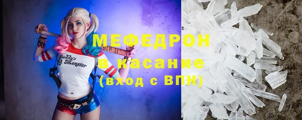 прущие грибы Елизово