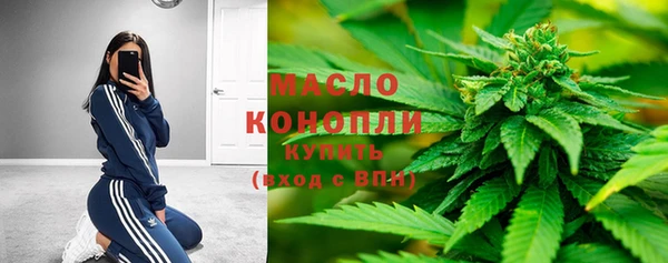 прущий лед Дмитриев
