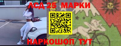 гашик Кинель