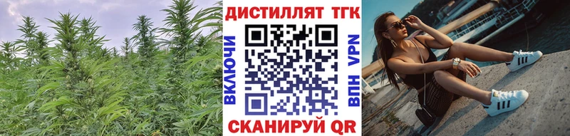 купить наркоту  Ивантеевка  Дистиллят ТГК гашишное масло 