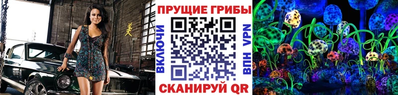 KRAKEN сайт  сколько стоит  Ивантеевка  Псилоцибиновые грибы Psilocybine cubensis 
