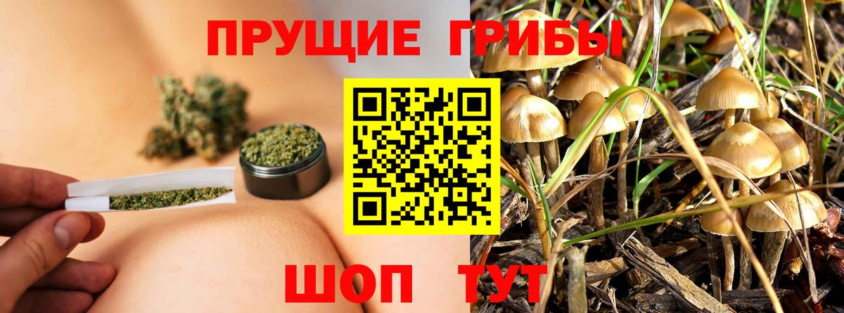 купить закладку  Ивантеевка  Галлюциногенные грибы Magic Shrooms  Псилоцибиновые грибы мицелий 