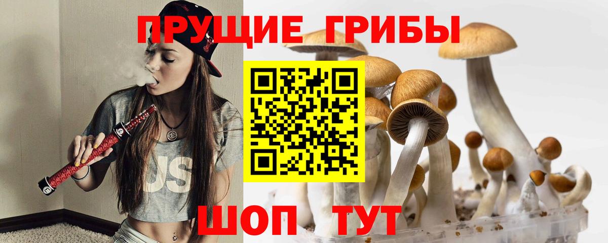 Псилоцибиновые грибы прущие грибы Ивантеевка