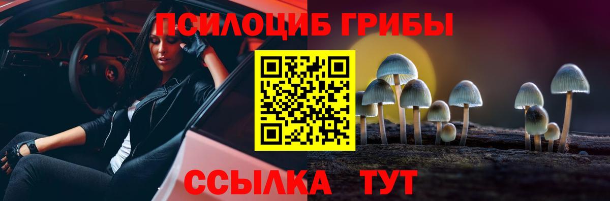 Ивантеевка  Галлюциногенные грибы GOLDEN TEACHER  цена наркотик  Псилоцибиновые грибы Psilocybe  Вход с VPN 